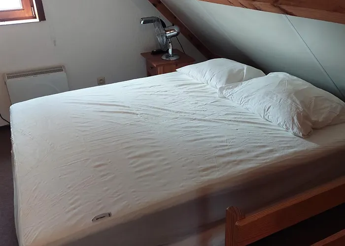 Casa vacanze Pelssers@de Haan *